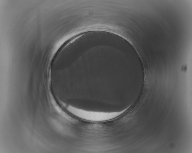 X0000113981515200910231656