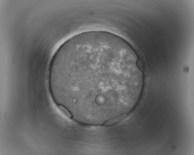 X0000113981518200910231656