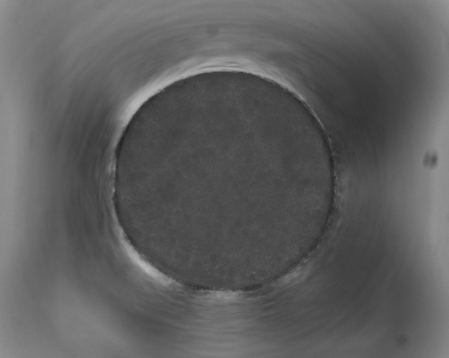 X0000113981519200910231656