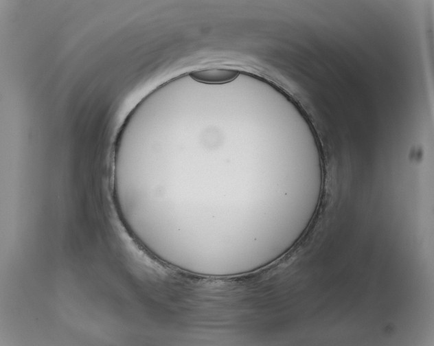 X0000113981520200910231656