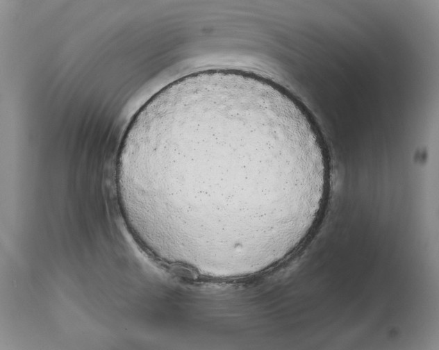 X0000113981521200910231656