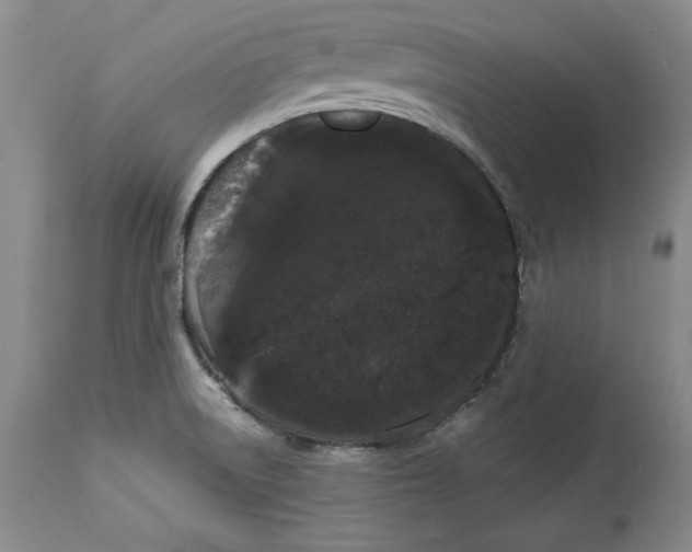 X0000113981522200910231656