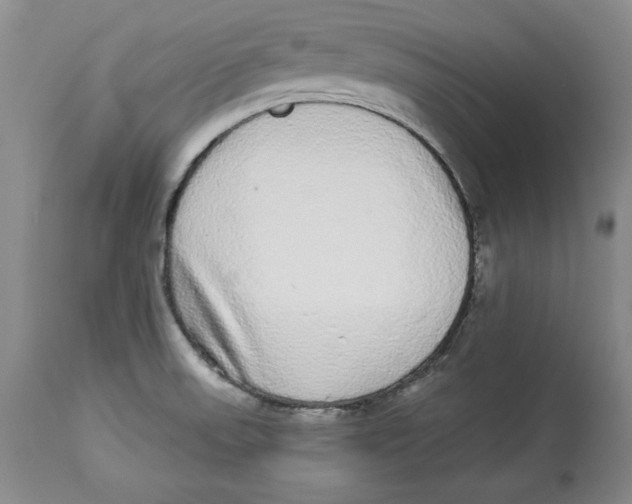 X0000113981523200910231656