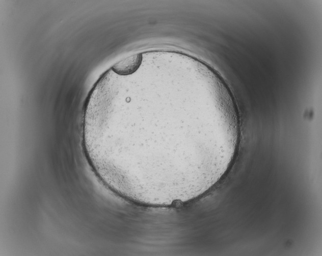 X0000113981526200910231656