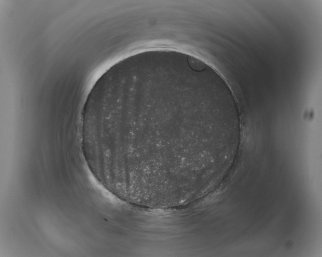 X0000113981527200910231656