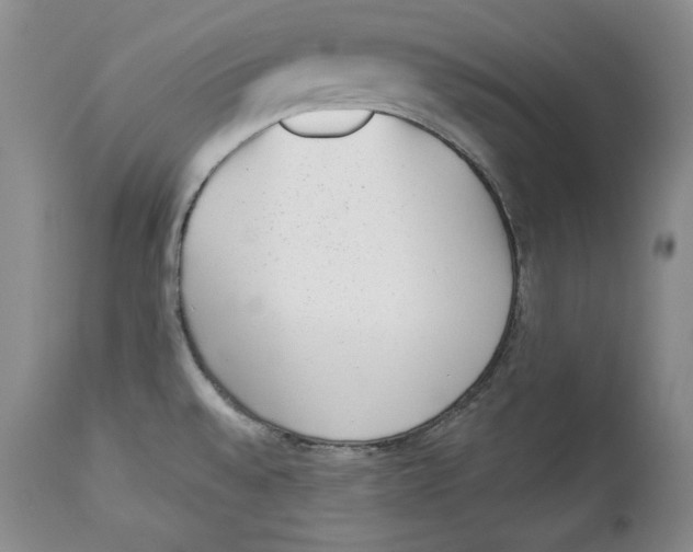 X0000113981528200910231657