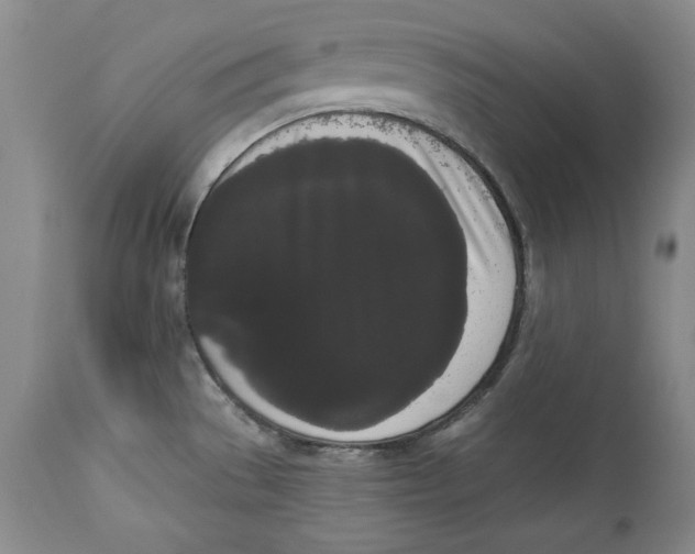 X0000113981529200910231657