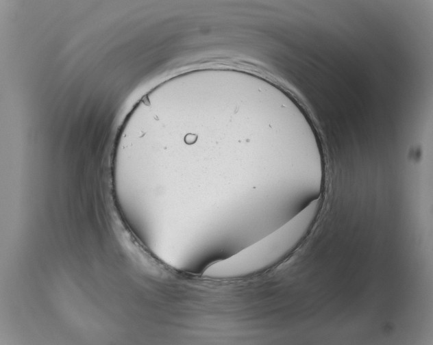 X0000113981530200910231657