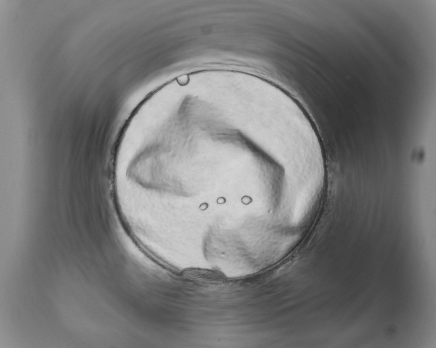 X0000113981531200910231657