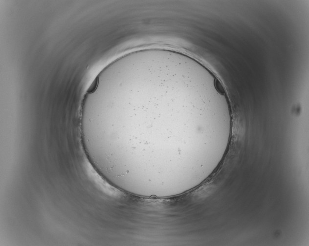 X0000113981532200910231657