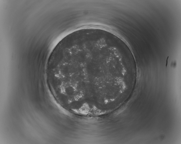 X0000113981533200910231657