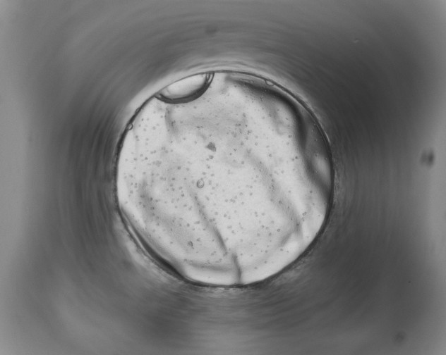 X0000113981534200910231657