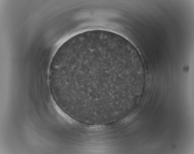 X0000113981535200910231657