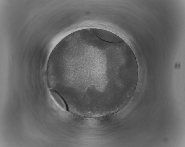 X0000113981536200910231657