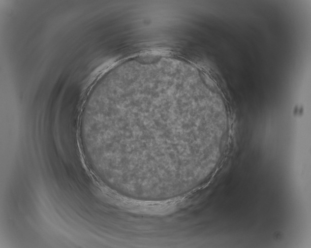 X0000113980001200911131106