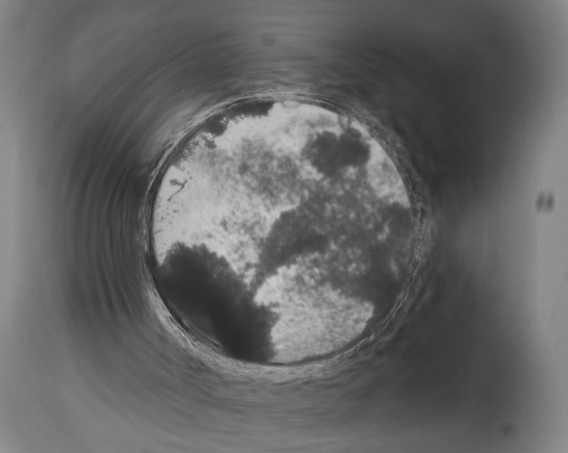 X0000113980002200911131106