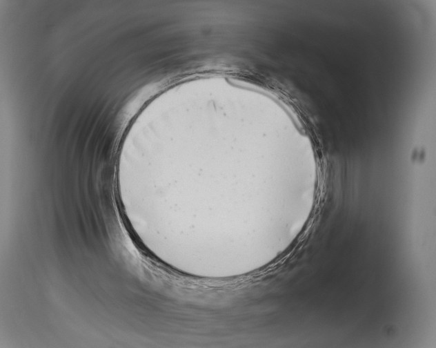 X0000113980003200911131106