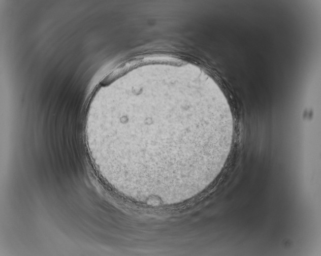 X0000113980004200911131106