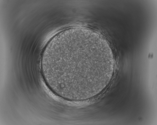 X0000113980005200911131106