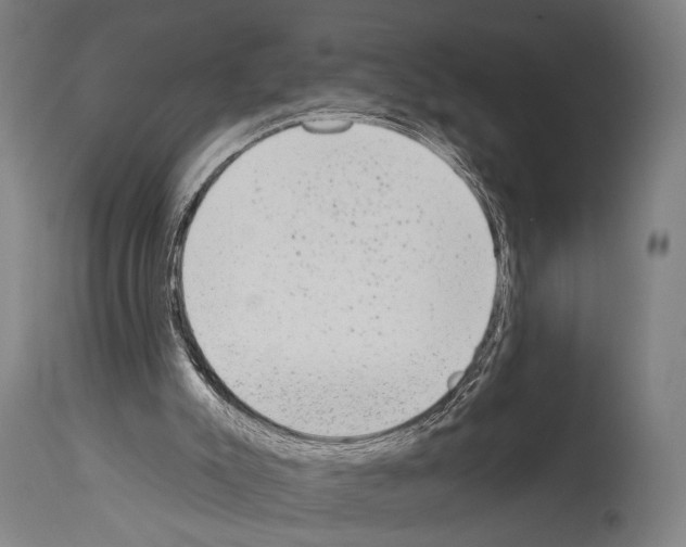 X0000113980007200911131106