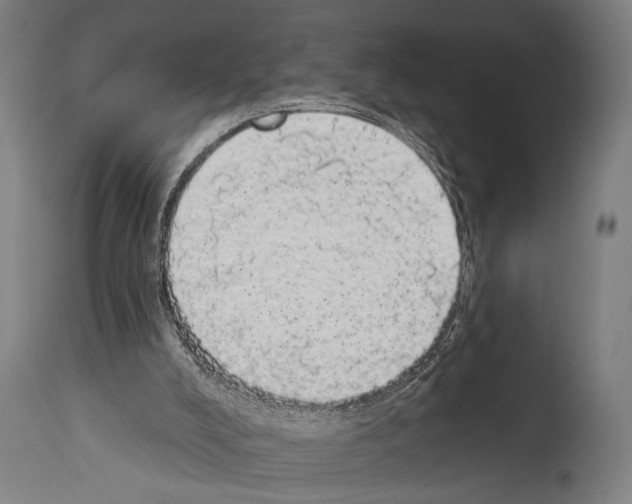 X0000113980008200911131106