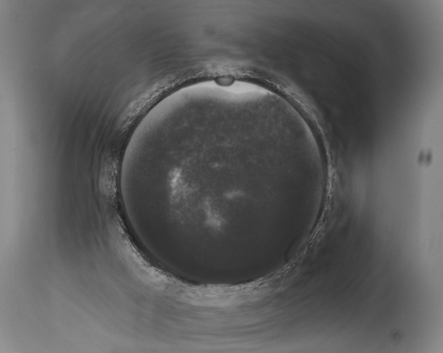 X0000113980009200911131106