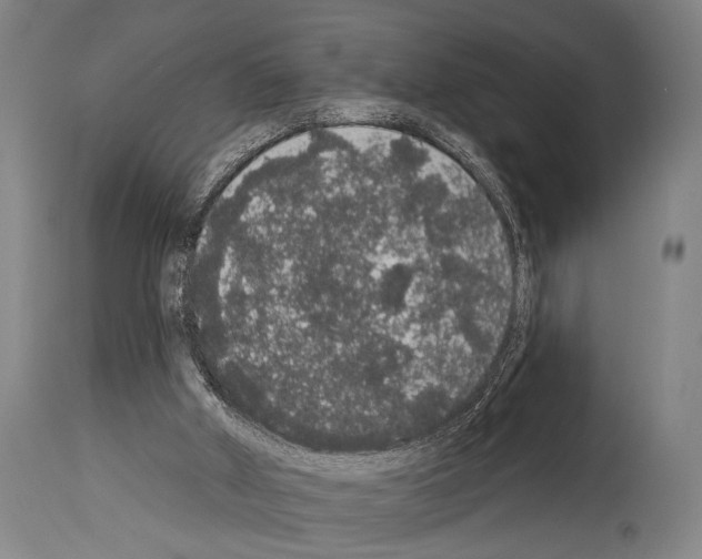 X0000113980010200911131106