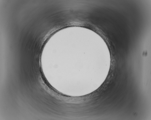 X0000113980011200911131106