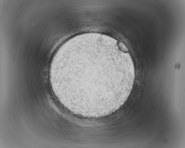 X0000113980012200911131106
