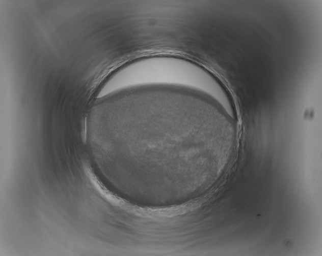 X0000113980013200911131106
