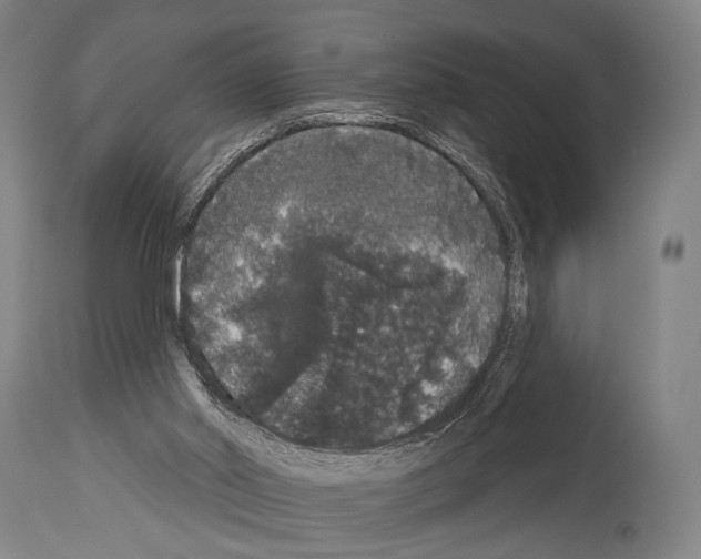 X0000113980014200911131106