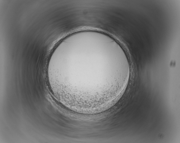 X0000113980015200911131106