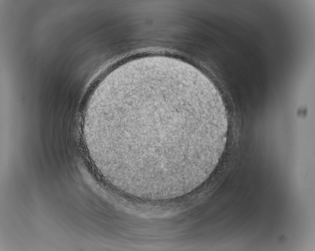 X0000113980016200911131106