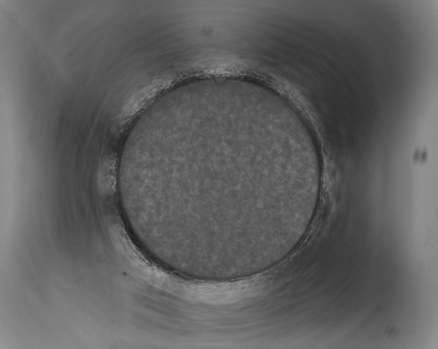 X0000113980017200911131106