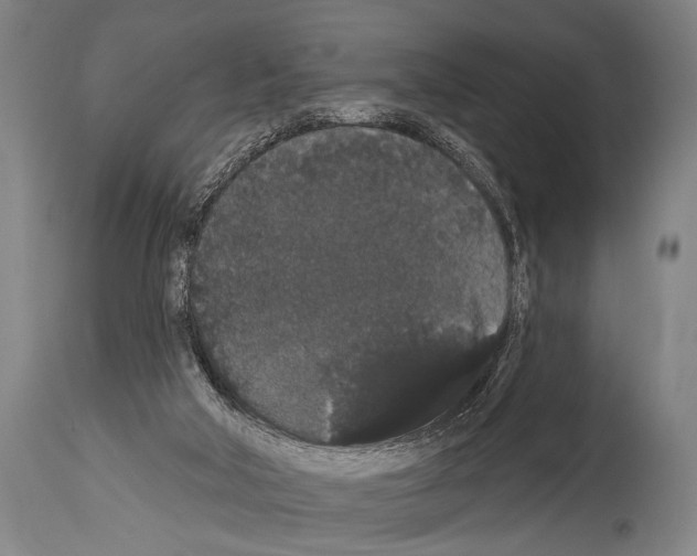 X0000113980018200911131106