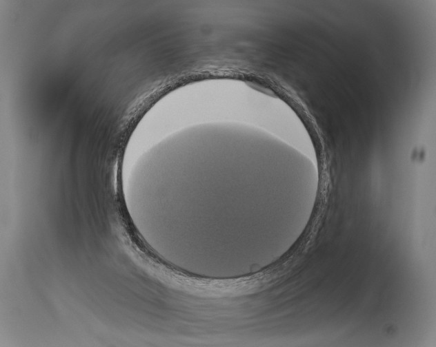 X0000113980019200911131106