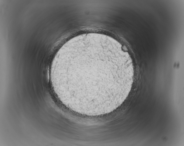 X0000113980020200911131106