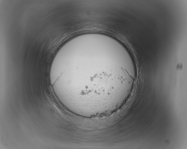 X0000113980021200911131106
