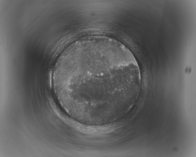 X0000113980022200911131106