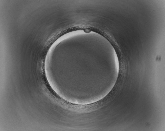 X0000113980023200911131106