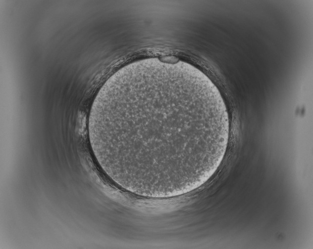 X0000113980025200911131106