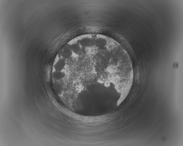 X0000113980026200911131106