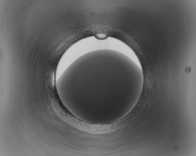 X0000113980027200911131106