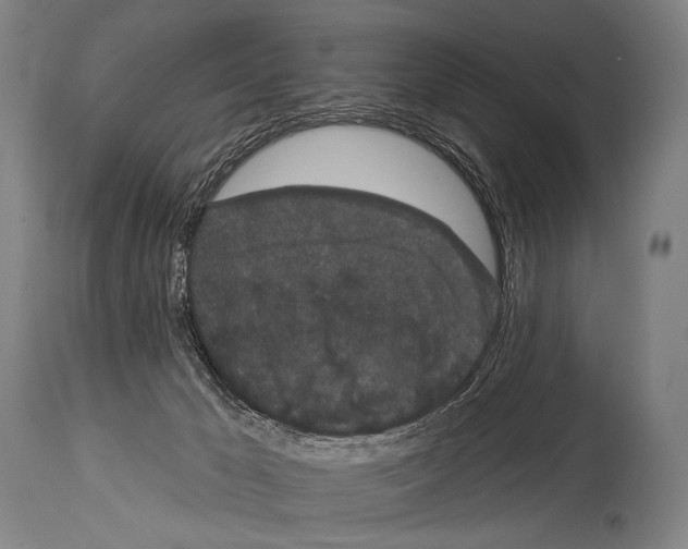 X0000113980029200911131106