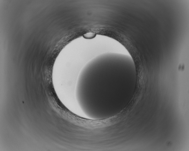 X0000113980031200911131106