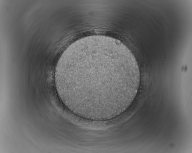 X0000113980032200911131105