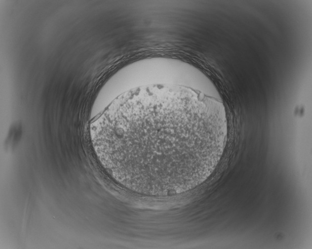X0000113980033200911131105