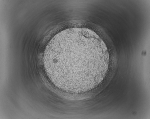 X0000113980034200911131105