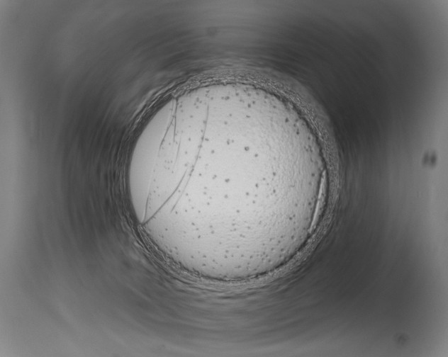 X0000113980035200911131105