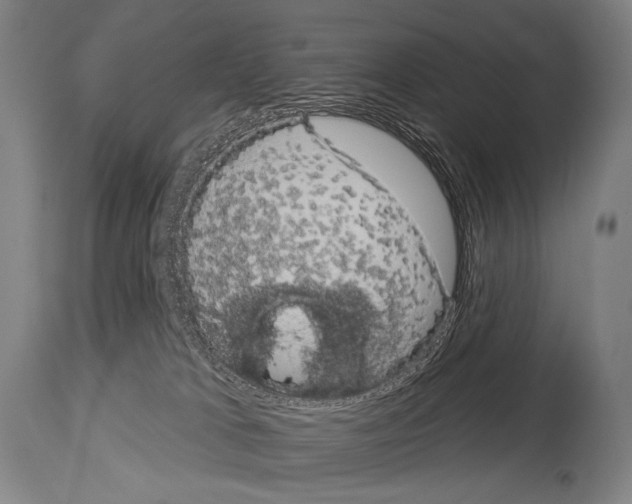 X0000113980037200911131105